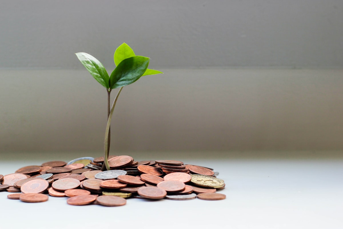 Steeds meer ondernemers lenen buiten de bank om
